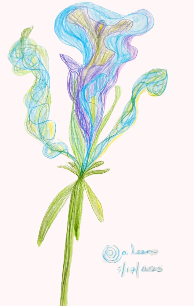 Sheer Tulip