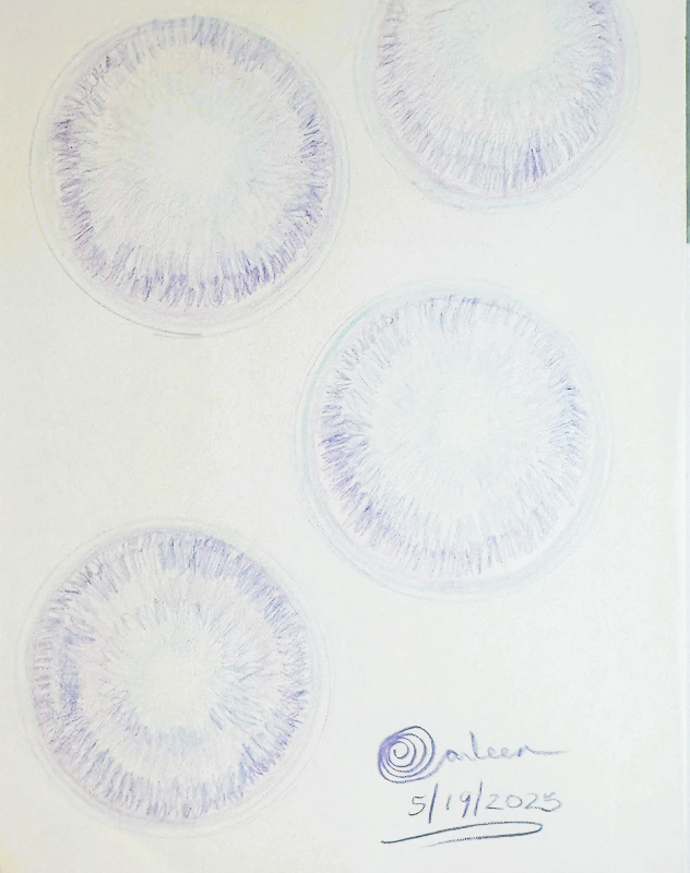 Sparkling Globes